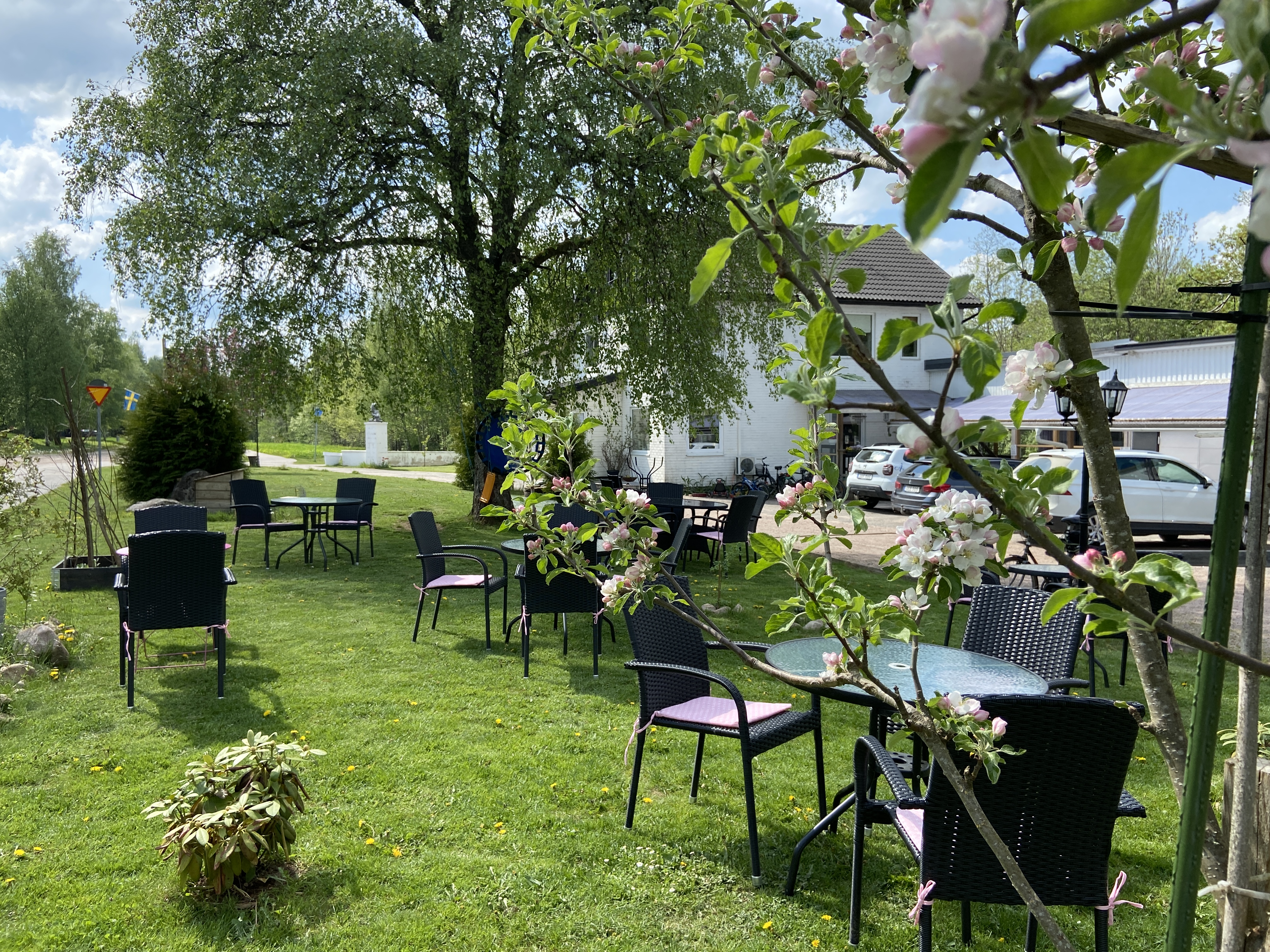 Trädgården